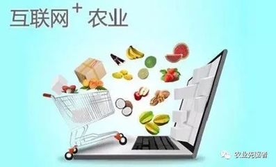 休閑農(nóng)業(yè)13種創(chuàng)意新模式 當田園邂逅互聯(lián)網(wǎng)美食